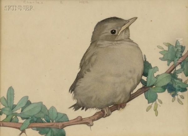 Bird On A Branch - view 1