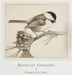 Black-cap Chickadee by Charles Emile Heil