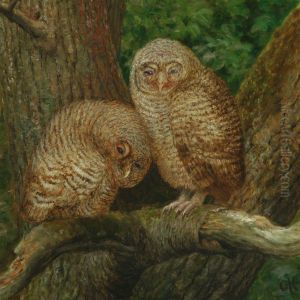 Two Owls Sitting Ina Tree