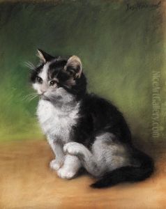 Junge Katzchen by Josef Heimerl