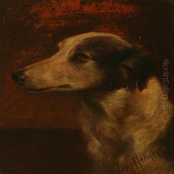 A Dog - view 1