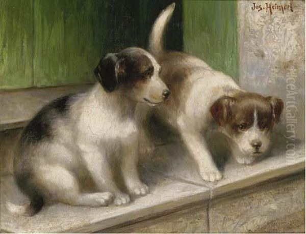 Mischevious Puppies - view 1