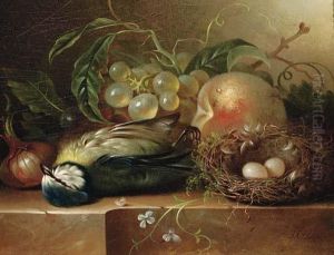 Fruit And A Bird's Nest On A Ledge by Jan Hendrik Verheijen
