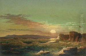 The Fort