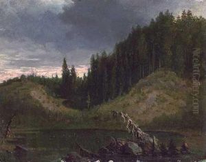 Waldweiher by Heinrich Heinlein