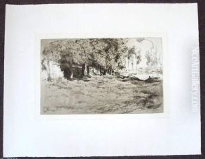 Sans Titre [sous-bois]