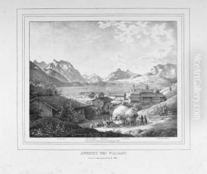 Bayerische Und Schweizer Ansichten by Carl Friedrich Heinzmann
