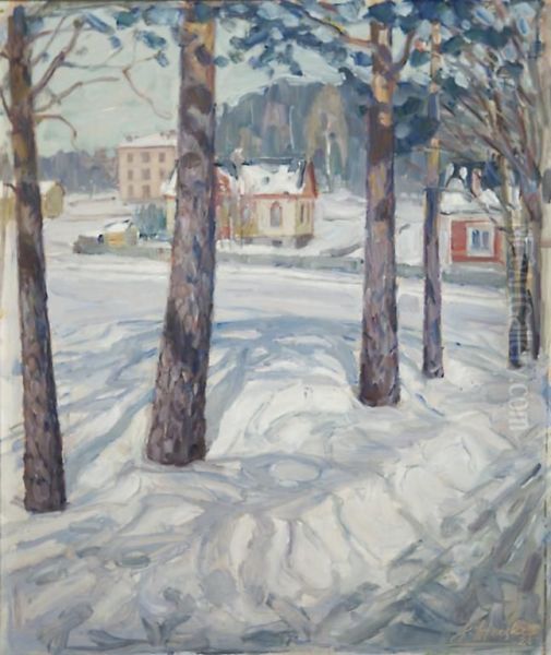 Talvi Jyvaskylassa - view 1