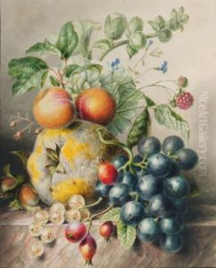 A Quince, A Rose-mallow, Hazelnuts, Berries, Rosehips,blackberries, Peaches And Grapes On A Marble Ledge by Willem Hekking