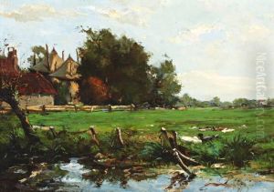 Weidelandschap Met Boerderij En Eenden Bij Een Sloot