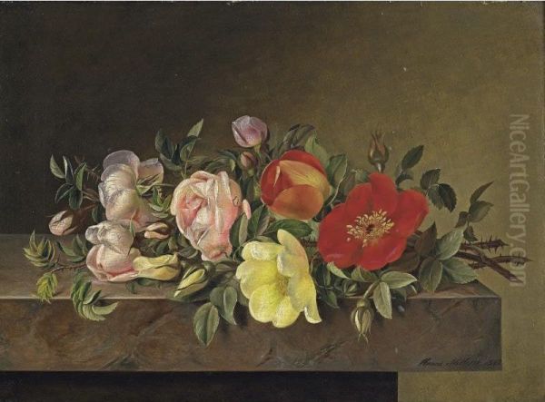 Roses - view 1