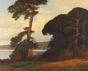 Markisches Seeufer Mit Kiefern Im Abendlicht by Rudolf Hellgrewe