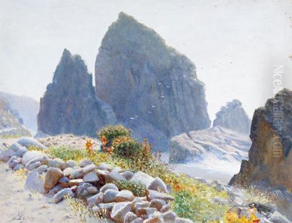 Chilean Landscape - view 1
