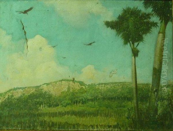 Chilean Landscape With Palm Trees - view 1