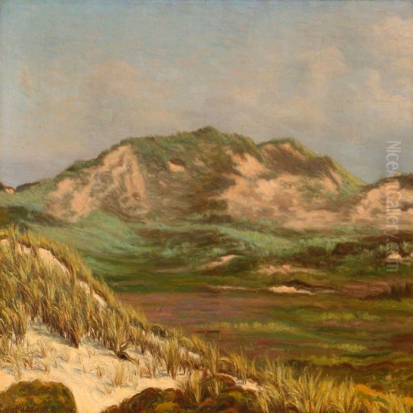 Ude Mellem Klitterne - view 1