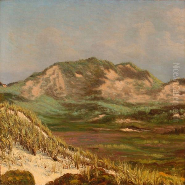 Landscape From Klitmoller - view 1