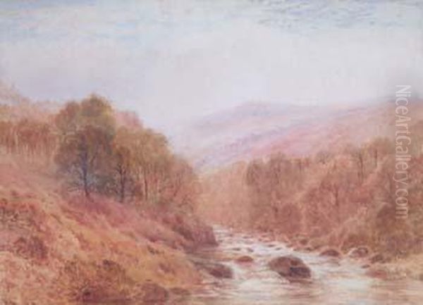 Woodland Landscape And River - view 1