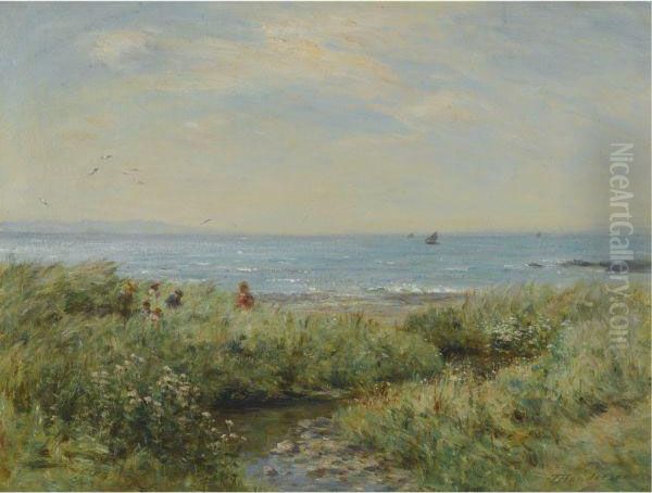Among The Dunes - view 1