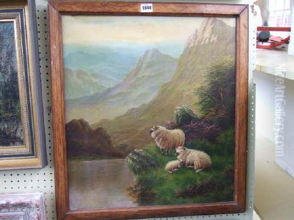 Sheep By Highland Loch - view 1
