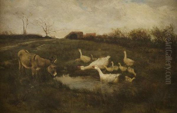 Donkeys And Geese At A Pond - view 1