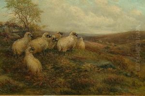 Sheep On The North Yorkshire Moors by William Henderson