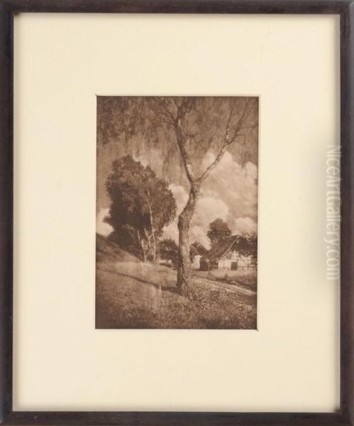 Untitled (tree And Farm House) - view 1