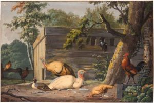 Farmyard Birds by Christiaan Henning