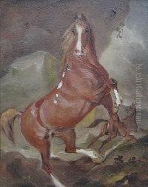 Chestnut Horse Rearing - view 1
