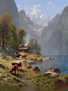 Weide Am Gebirgssee