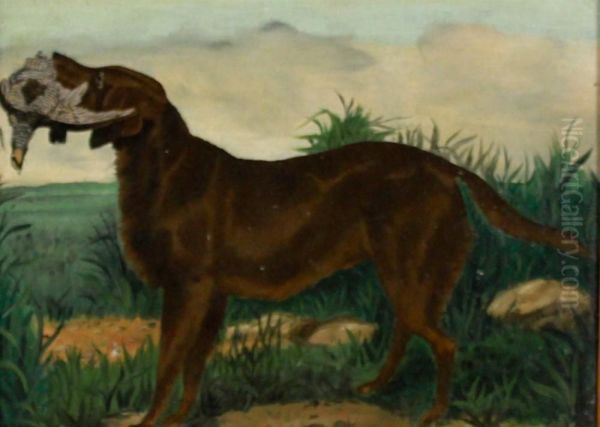 Retriever - view 1