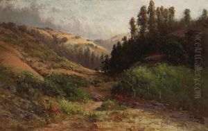 Rolling Hills, Thought To Be Marincounty Rolling Hills, Thought To Be Marincounty