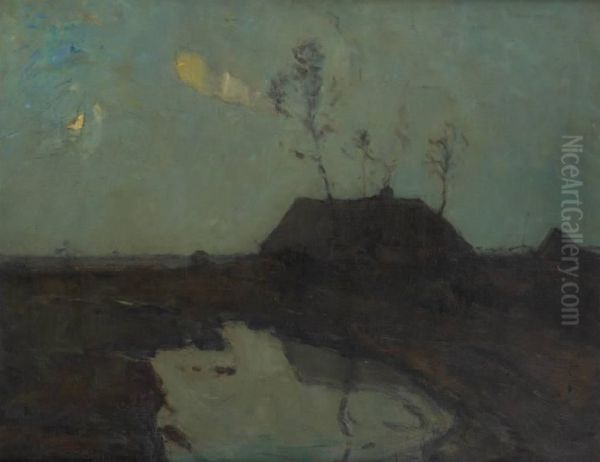 Effets De Nuit En Campine - view 1