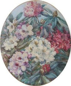 Pink And White Rhododendrons