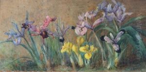 Blue, Pink And Yellow Irises by Marie Hensley