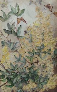 Yellow Laburnum by Marie Hensley