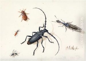 Insekten by Herman Henstenburgh