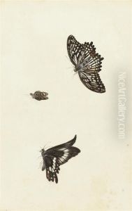 Three Butterflies by Herman Henstenburgh