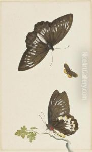 Three Butterflies by Herman Henstenburgh