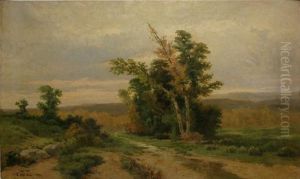 Peisaj Colinar by Sava Hentia