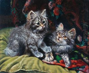 Two Playful Kittens