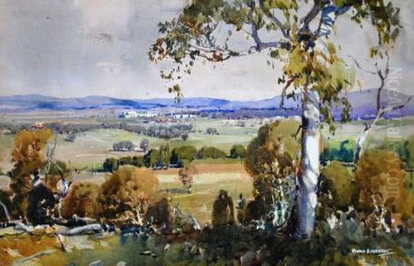 Landscape - view 1