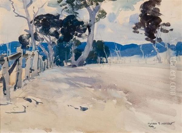 One Of The Back Roads Leading To Seymour And Puckapunyal Camp - view 1
