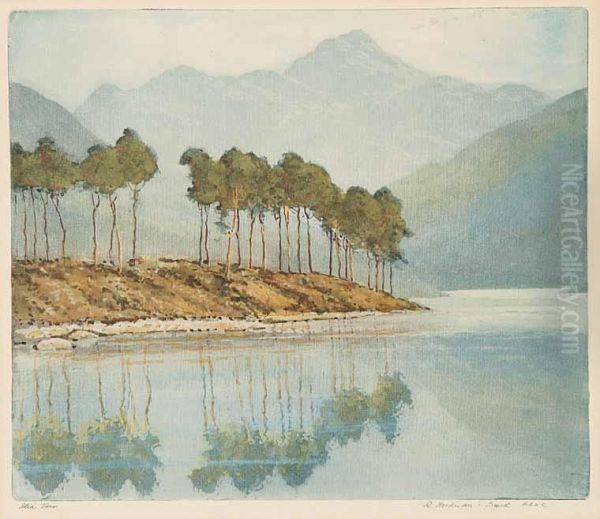 Blea Tarn - view 1