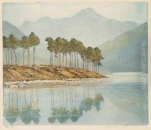 Blea Tarn by Robert Herdman-Smith