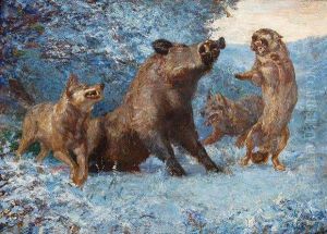 Sanglier Attaque Par Des Loups.