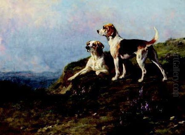 Cani Da Caccia - view 1