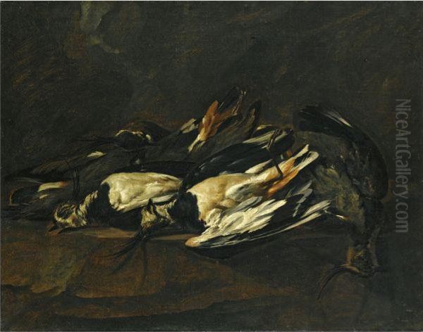 A Still Life - view 1