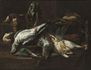 A Dead Kingfisher, Woodcocks And Other Game On A Draped Table by Johannes Hermans