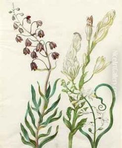 Flowers With A Ladybird, Caterpillar, Butterfly And Otherinsects