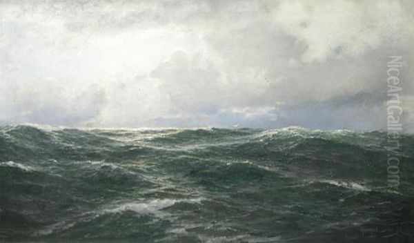 Marine - view 1